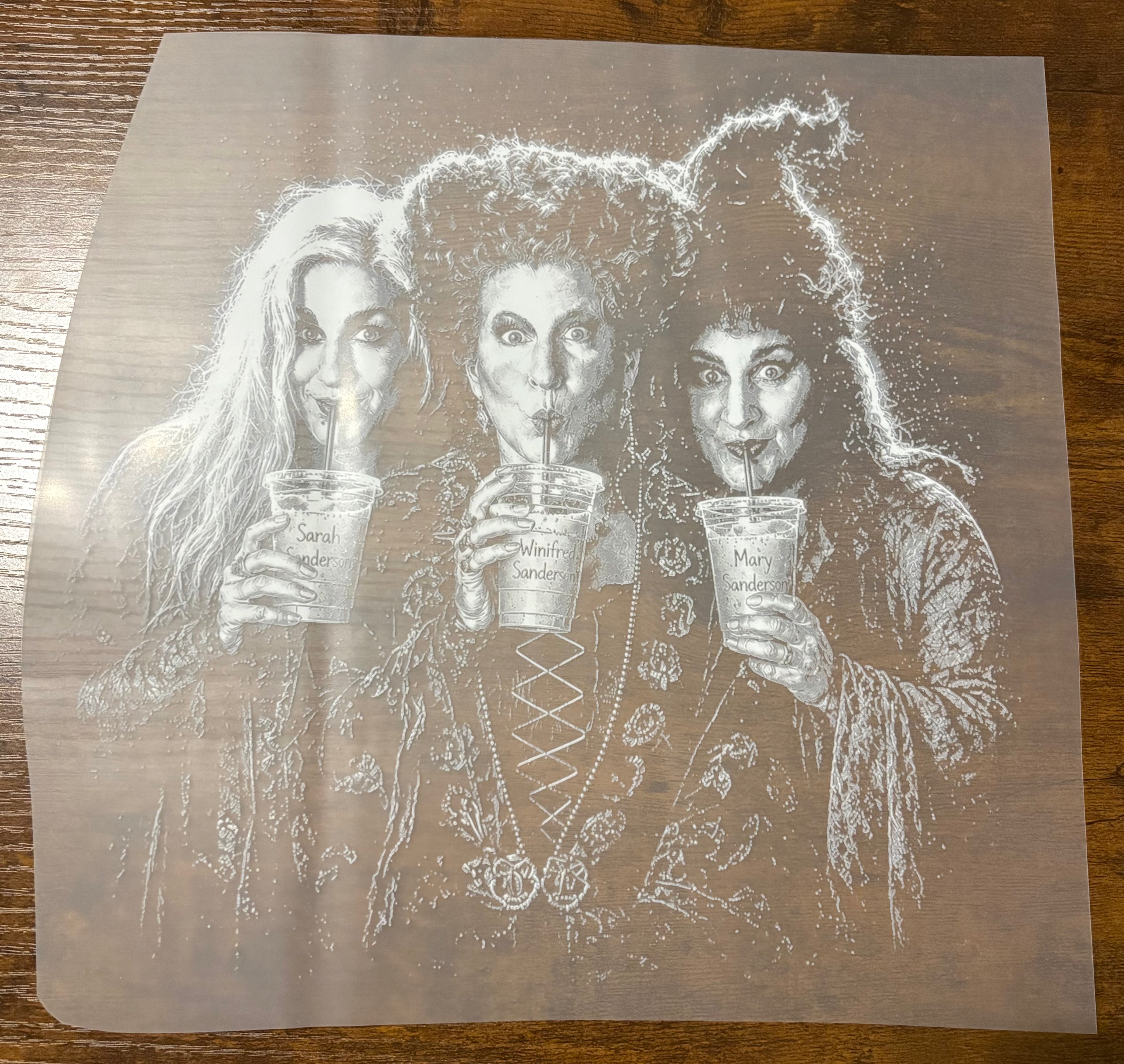 Sandy Sisters (Black and White) DTF Transfer