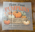 Farm Fresh Pumpkins DTF Transfer